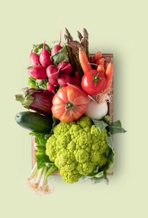 ต้นกล้าสมาร์ทฟาร์ม Tonkla Smartfarm vg category gegetables fruits opt Homepage Tonkla