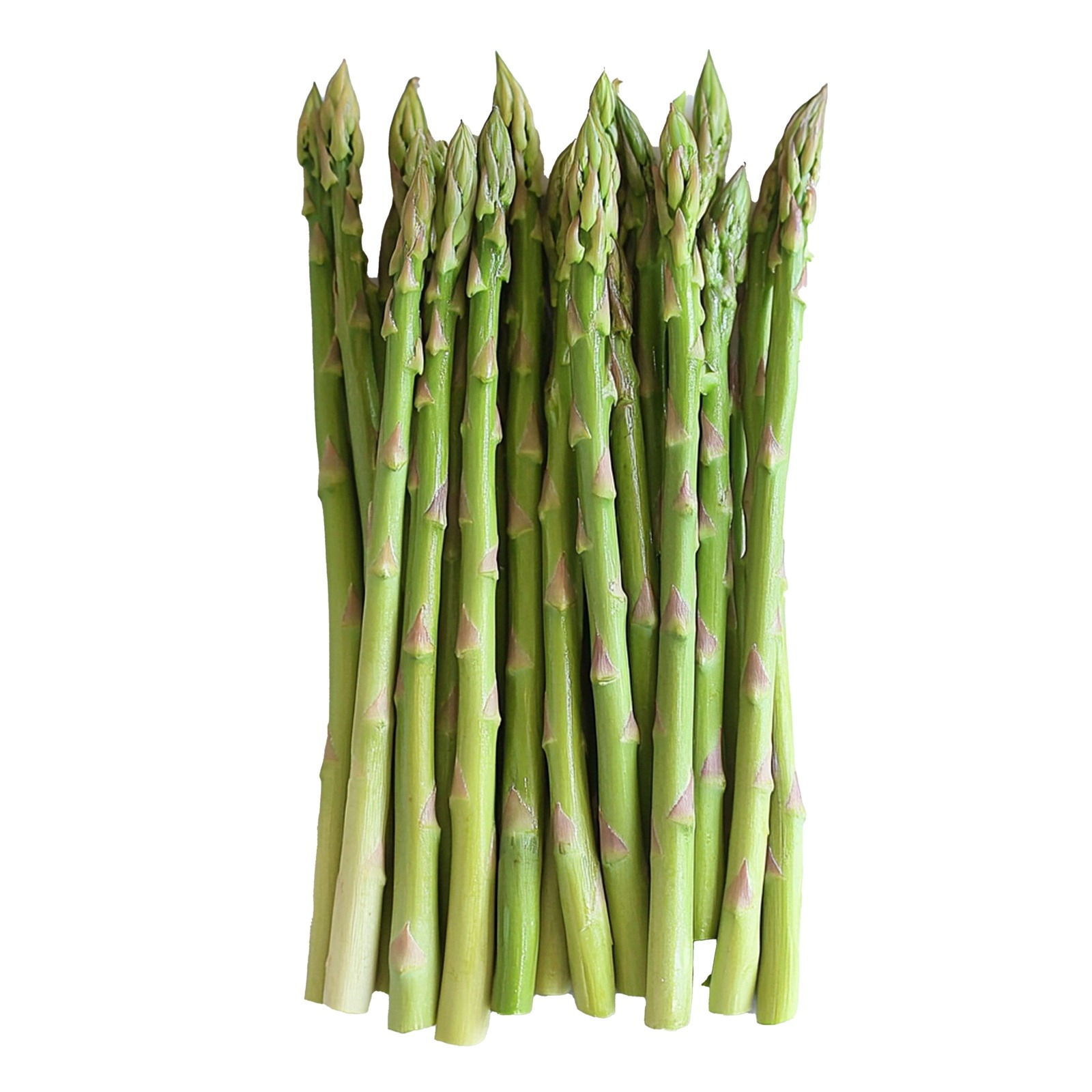 Fresh Green Asparagus Spears Ready for Cooking หน่อไม้ฝรั่ง