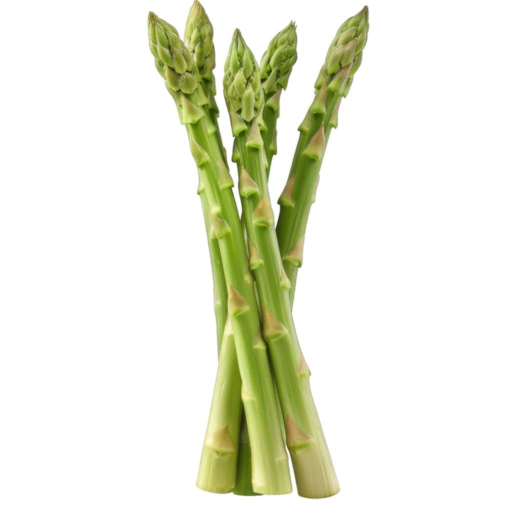 หน่อไม้ฝรั่ง