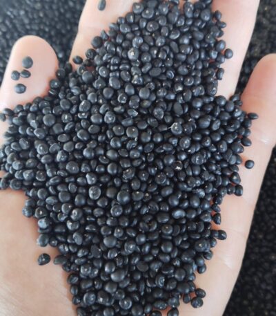 เมล็ดพันธุ์ หน่อไม้ฝรั่ง บร๊อคอิมพรูฟ Brock Improved