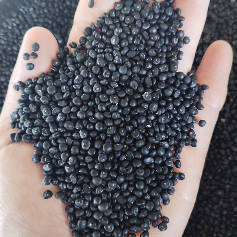 asparagus-seed-01 เมล็ดพันธุ์ หน่อไม้ฝรั่ง บร๊อคอิมพรูฟ Brock Improved