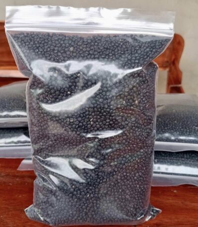 เมล็ดพันธุ์ หน่อไม้ฝรั่ง บร๊อคอิมพรูฟ Brock Improved