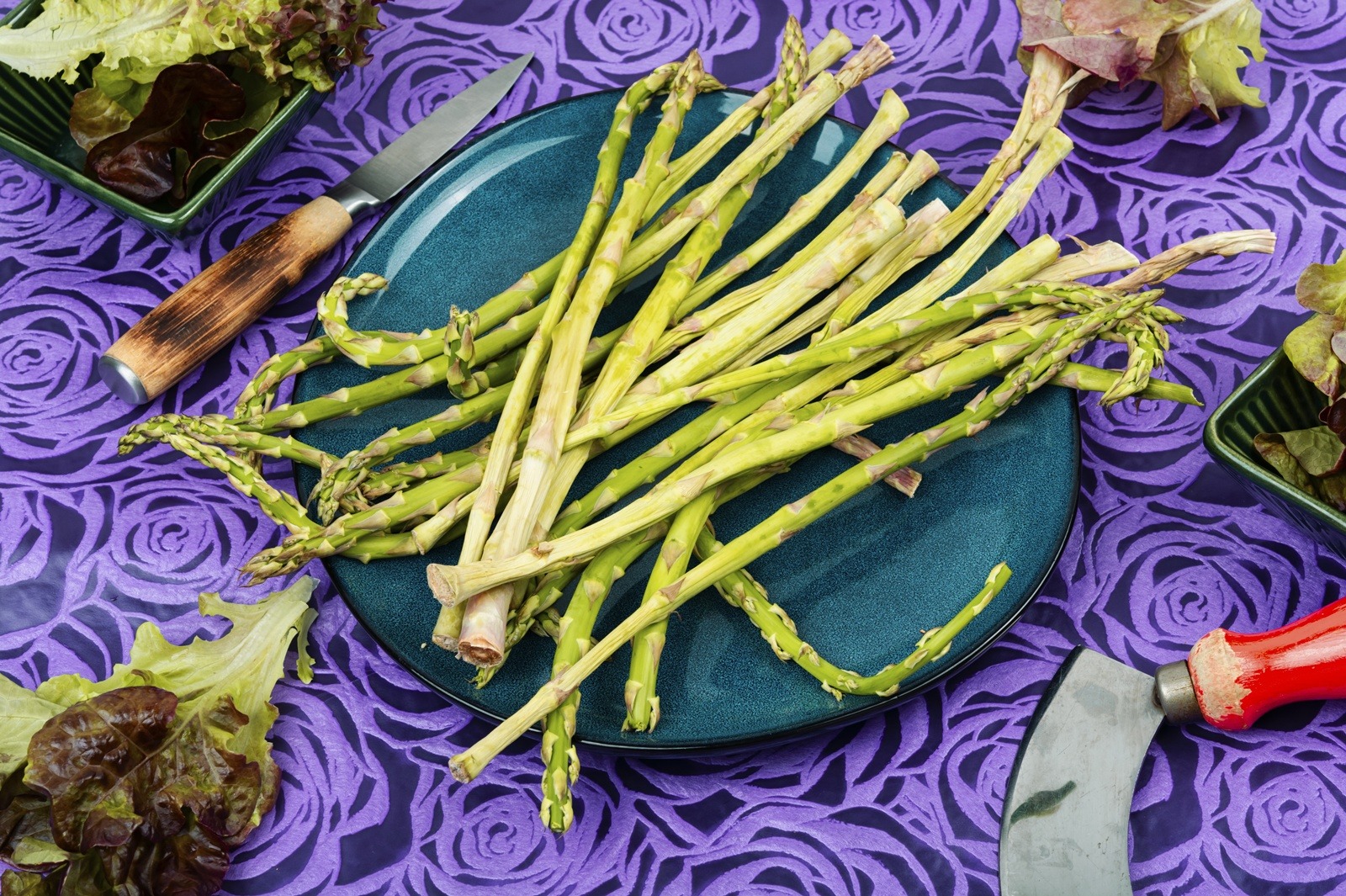 หน่อไม้ฝรั่ง