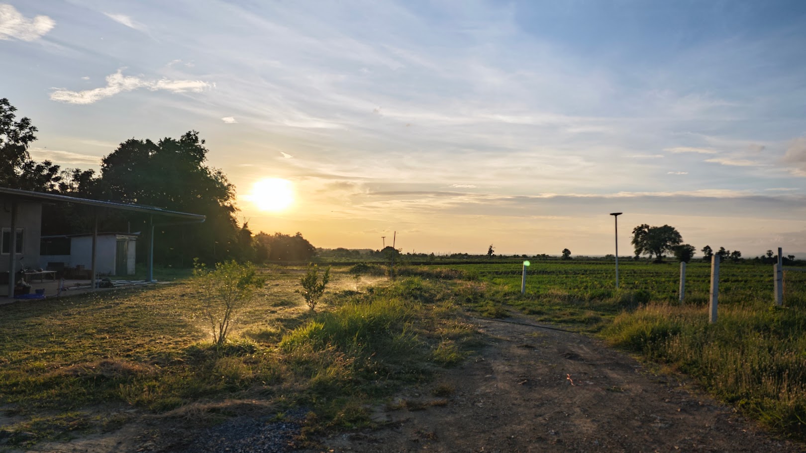 ต้นกล้าสมาร์ทฟาร์ม tonkla smartfarm