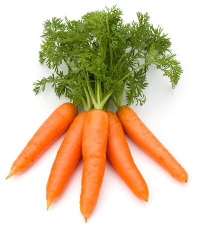 แครอทอินทรีย์ ปลอดสาร คละเกรด